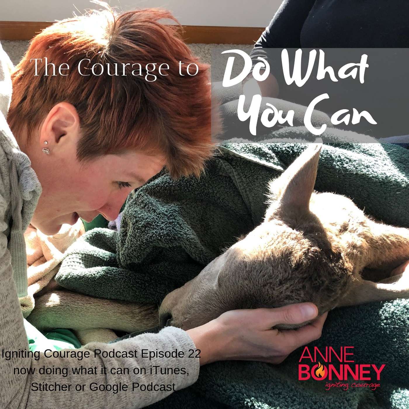 IGNITING COURAGE Podcast Episode 22: The Courage to Do What You Can episode artwork