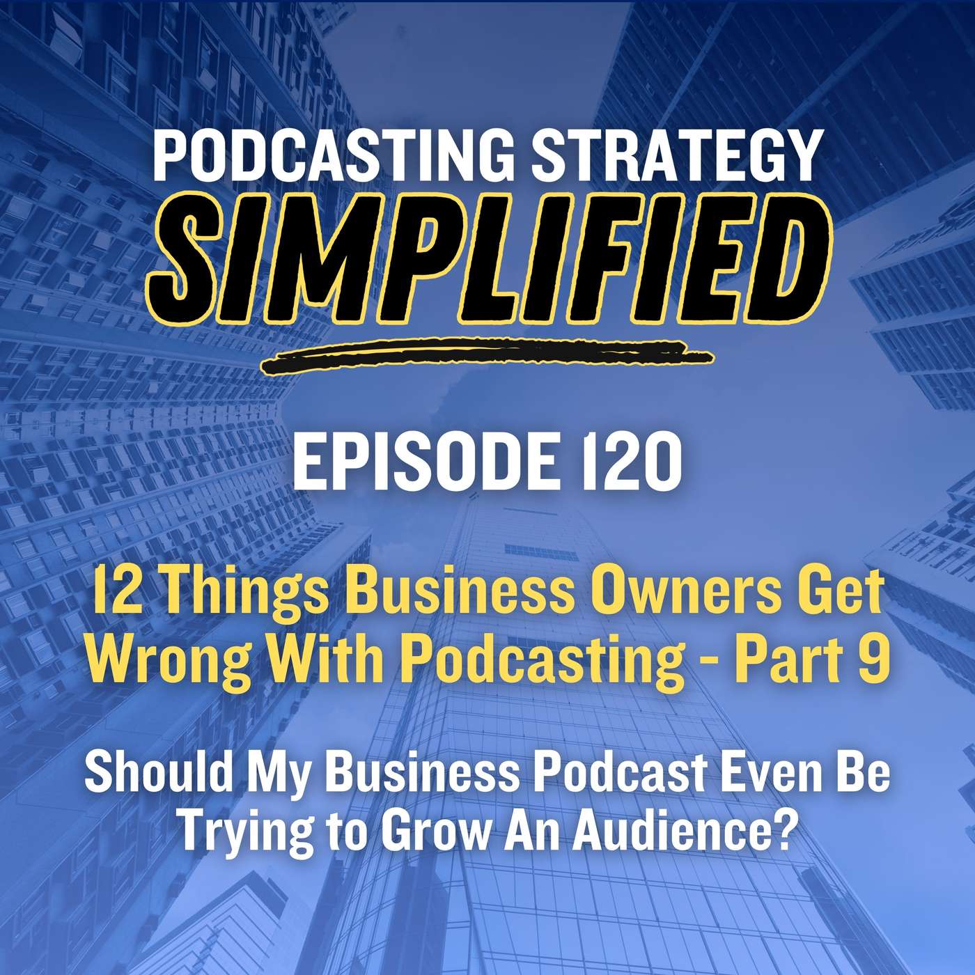 Should My Business Podcast Even Be Trying to Grow An Audience? (#120)