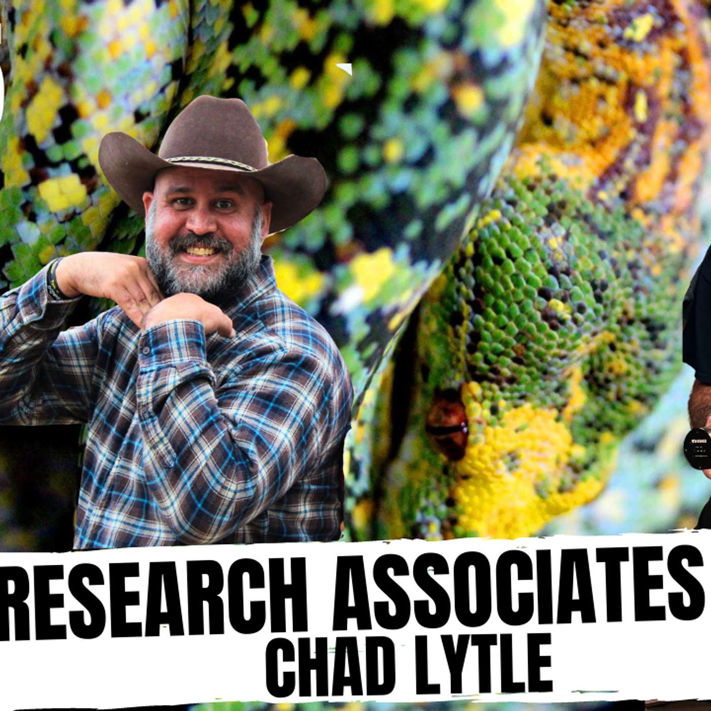 THE RIGHT & WRONG WAY TO NIDO TEST YOUR GREEN TREE PYTHON | ALL IN THE TREE TUESDAY LIVE