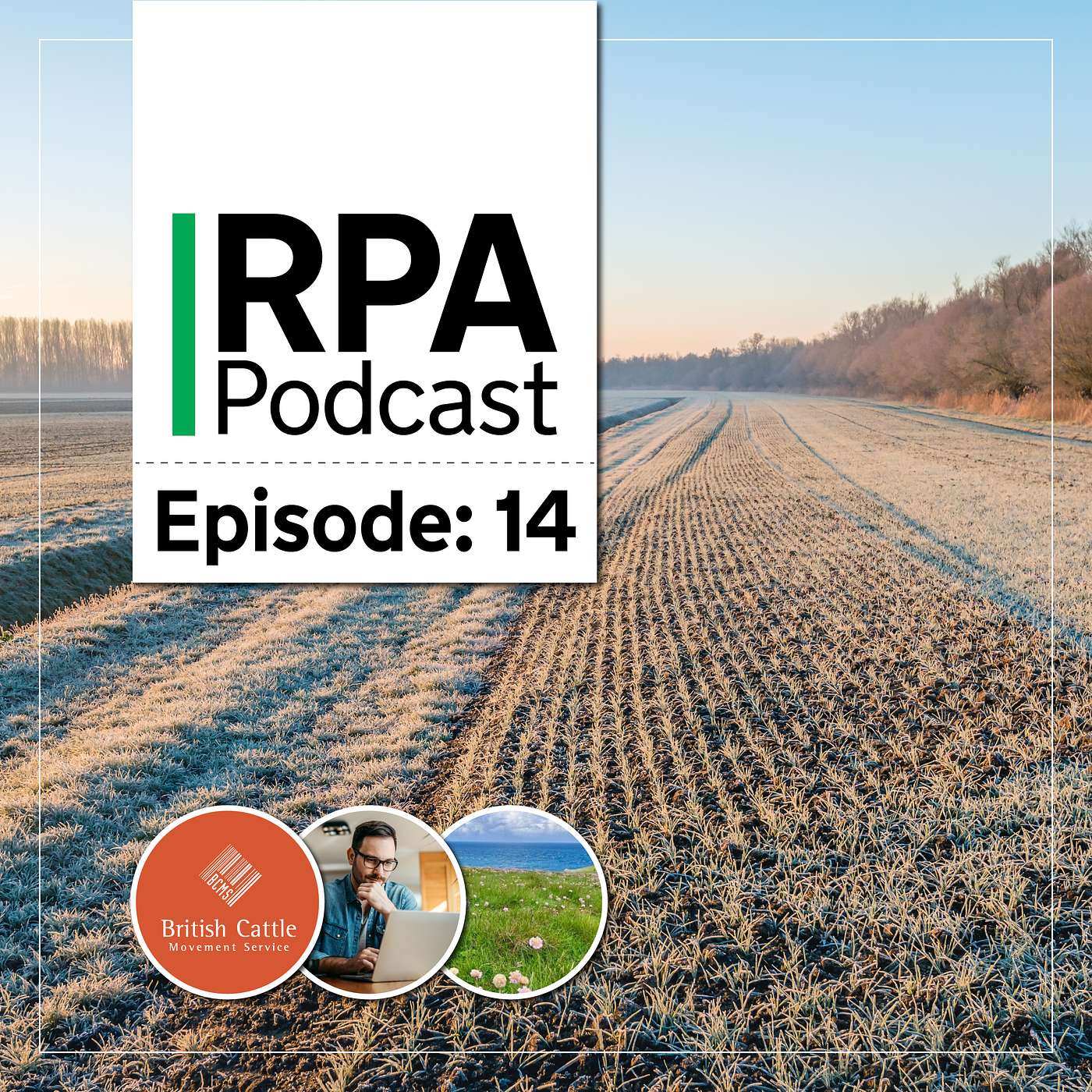 The RPA Podcast - Episode 14 The RPA Podcast - Episode 14