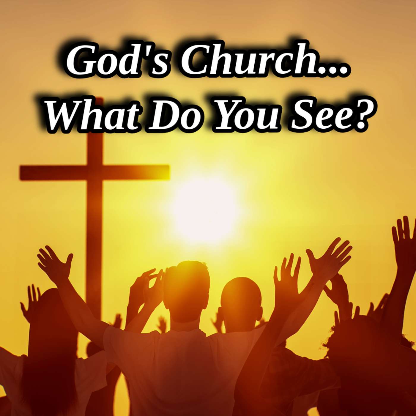 God's Church... What Do You See?