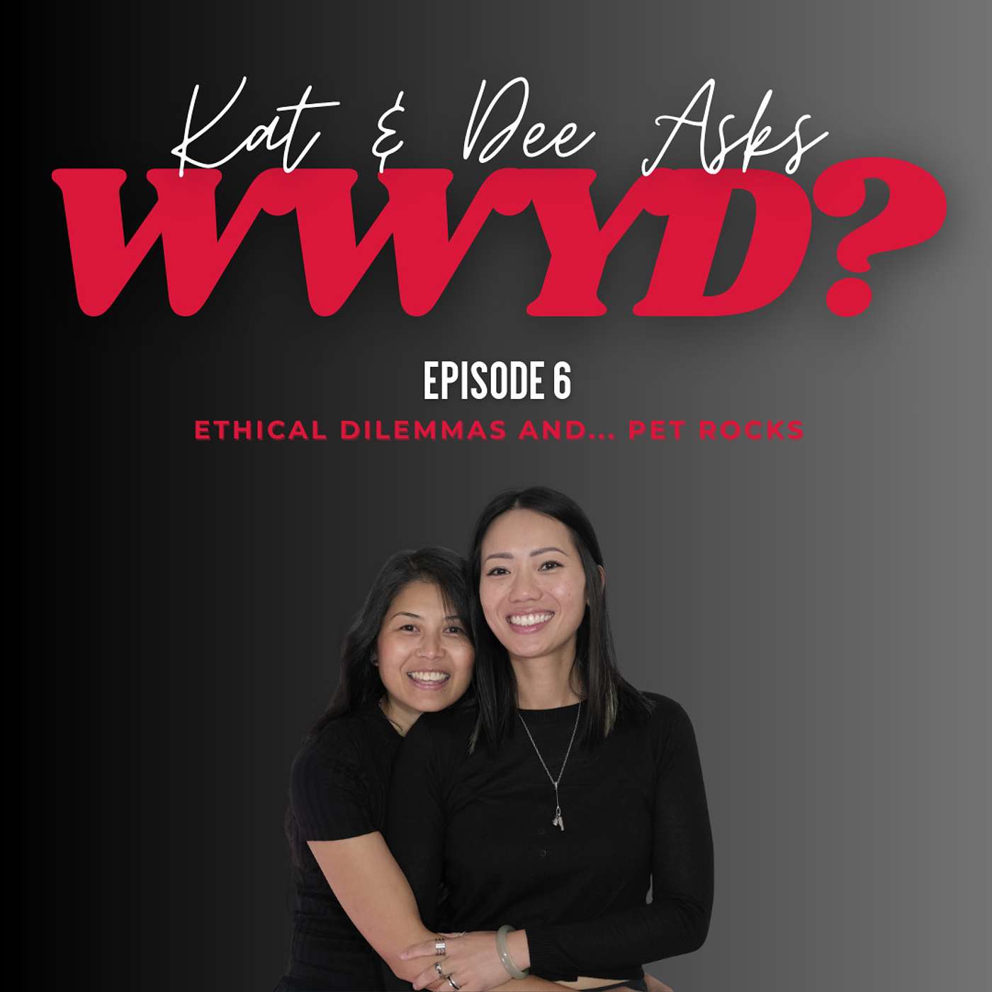 WWYD: Ethical Dilemmas and... Pet Rocks? episode artwork