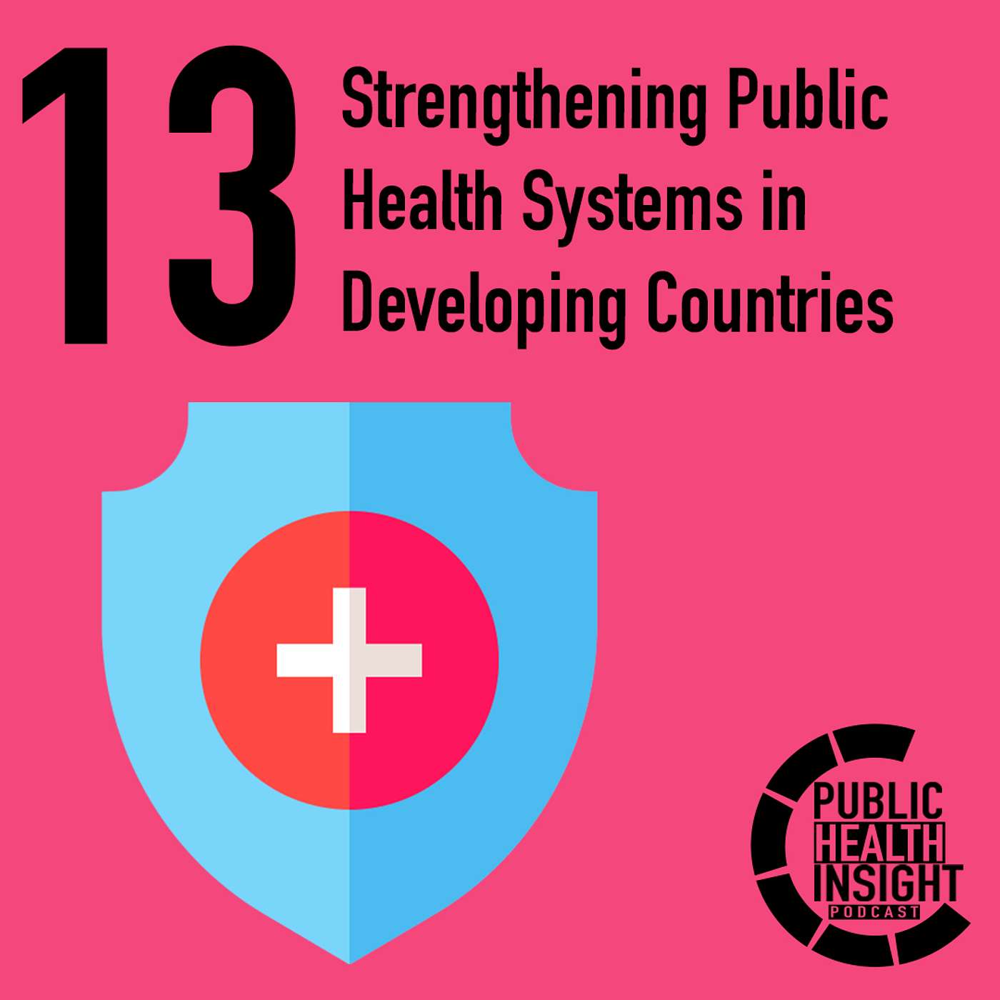 Strengthening Public Health Systems in Developing Countries