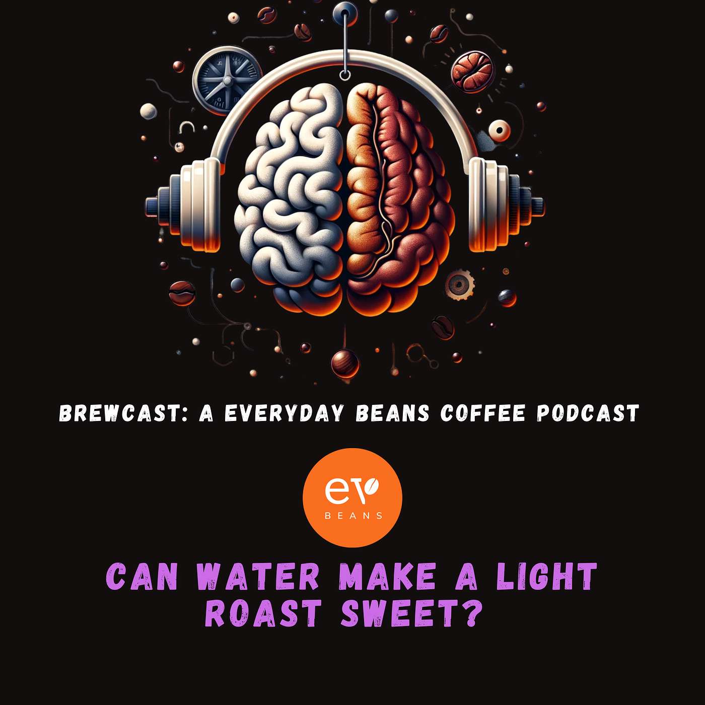 Can Water Make a Light Roast Sweet? episode artwork