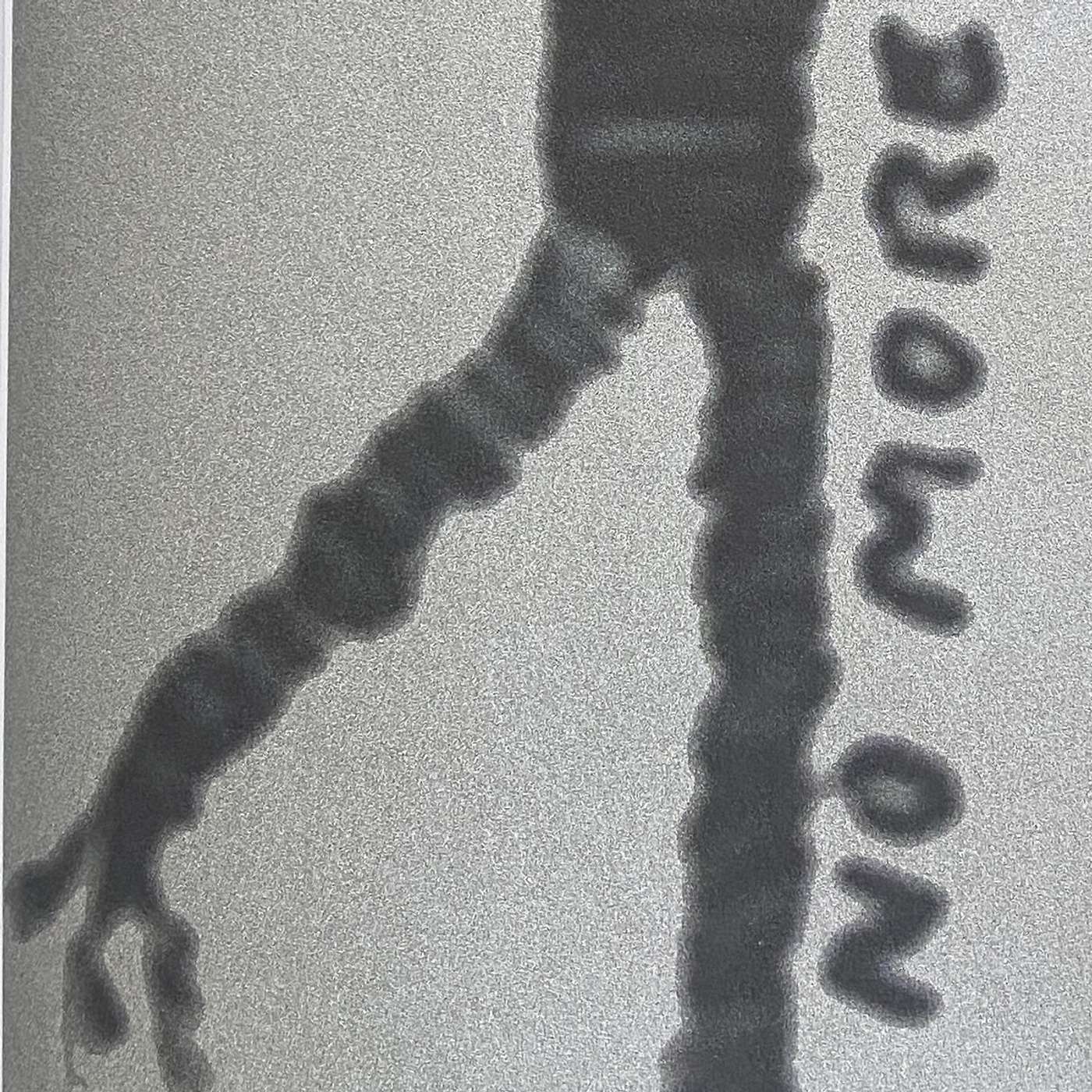 cover of episode WTF 4 - The Bonus Round