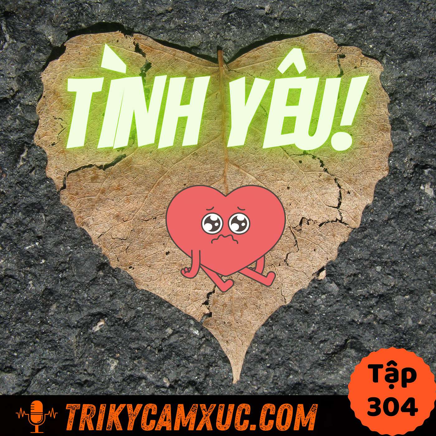 Vì Sao Tình Yêu Đa Số Rất Buồn? - Tri Kỷ Cảm Xúc #304