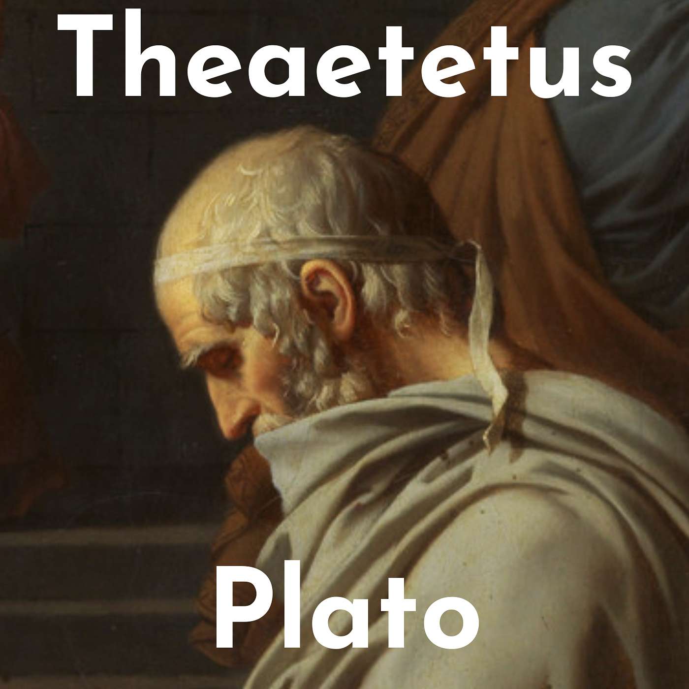Discussing "Theaetetus" By Plato Discussing "Theaetetus" By Plato