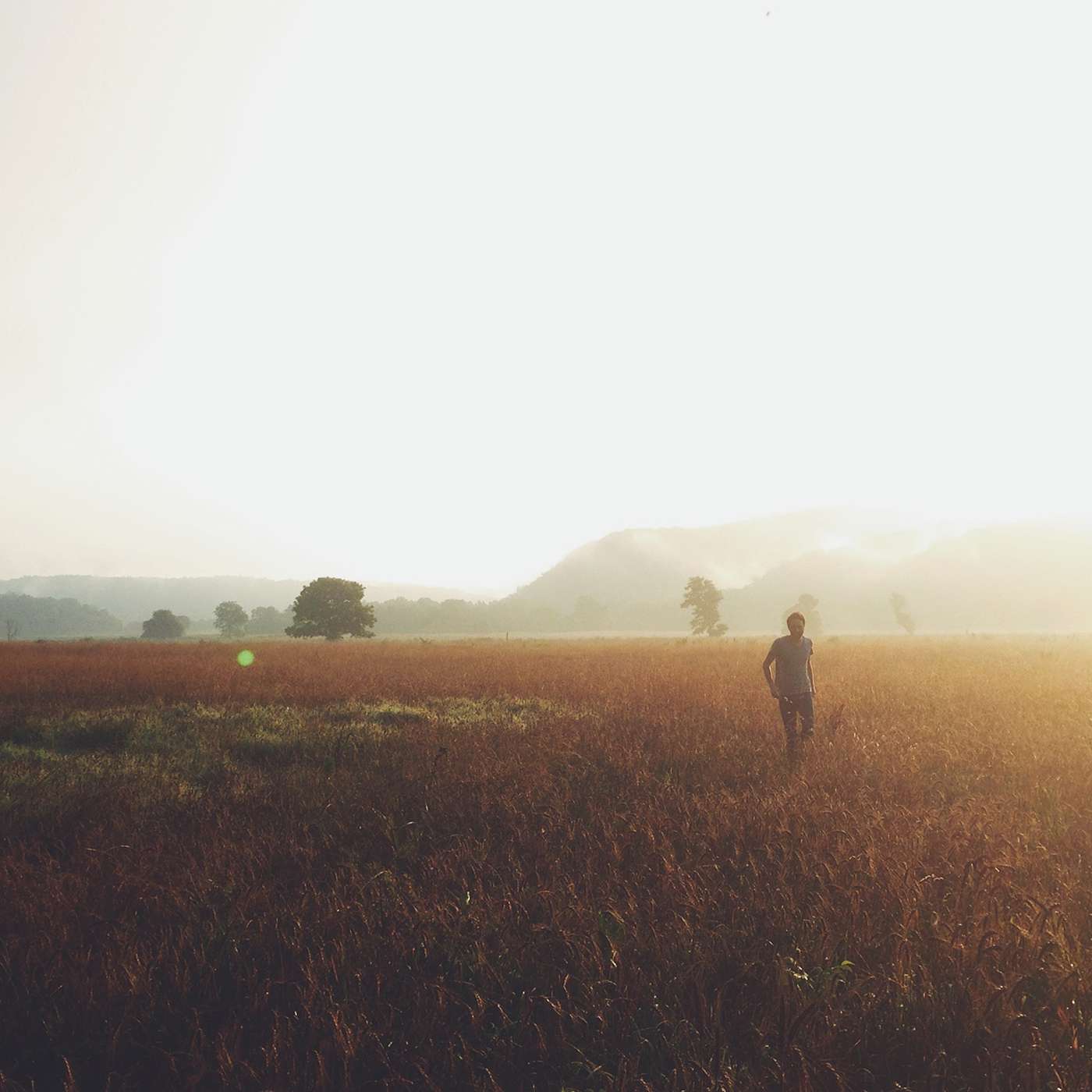 Luke: The Father Heart of God
