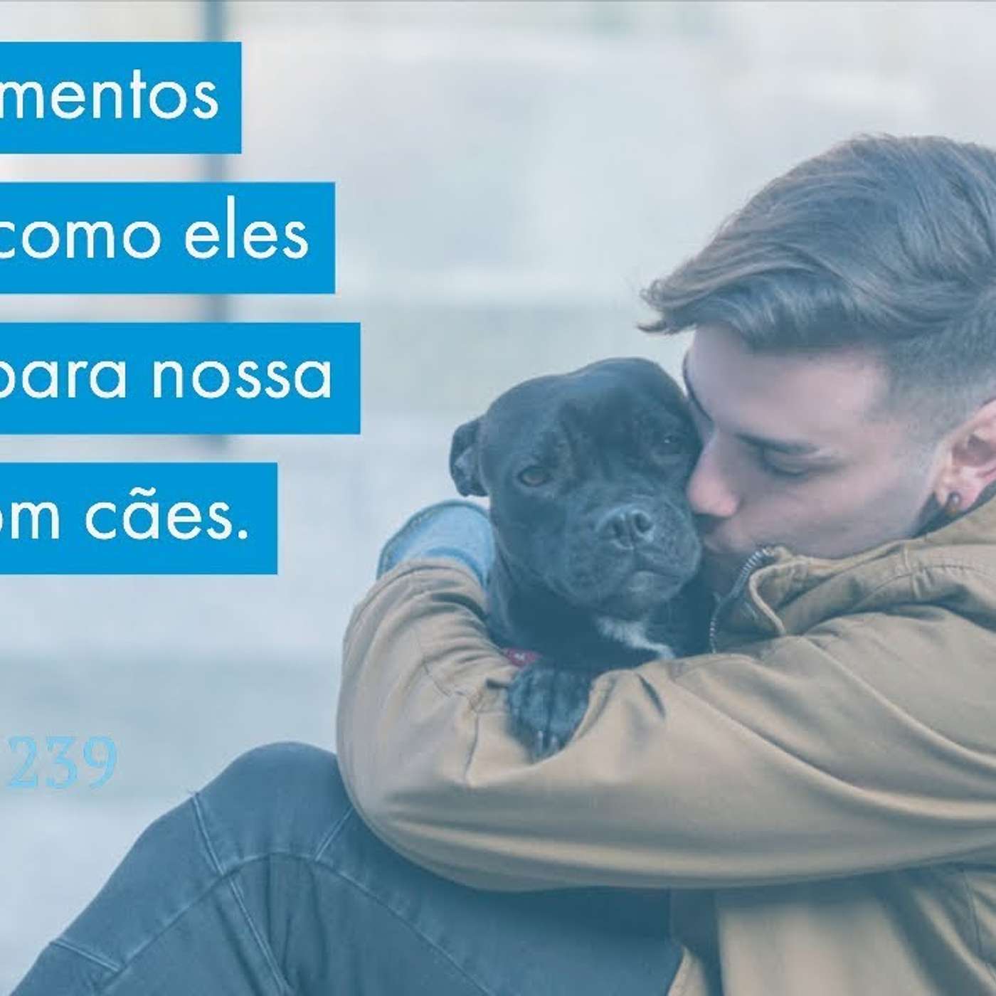 Relacionamentos pessoais: como eles apontam para nossa postura com cães. episode artwork
