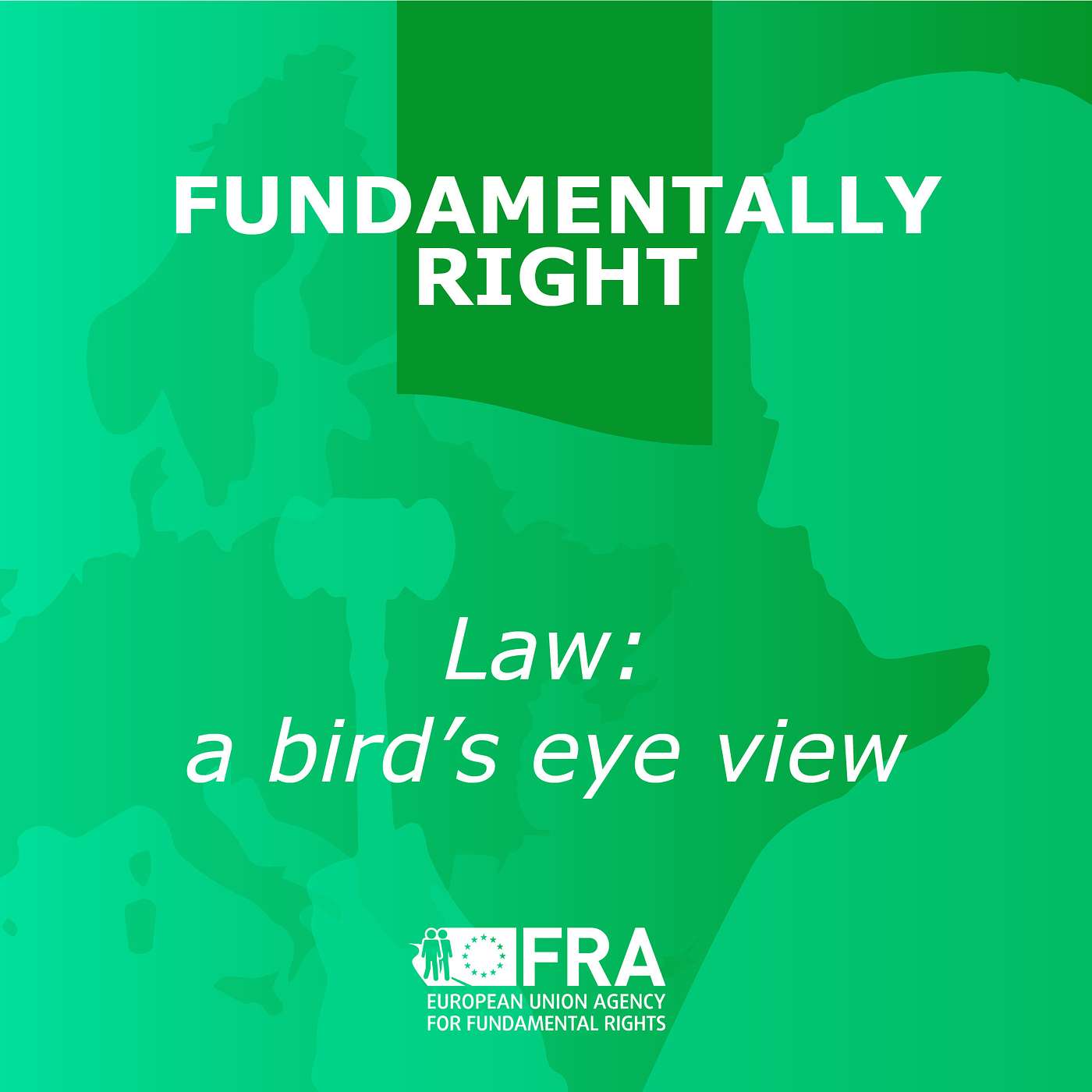 Law: a bird’s eye view