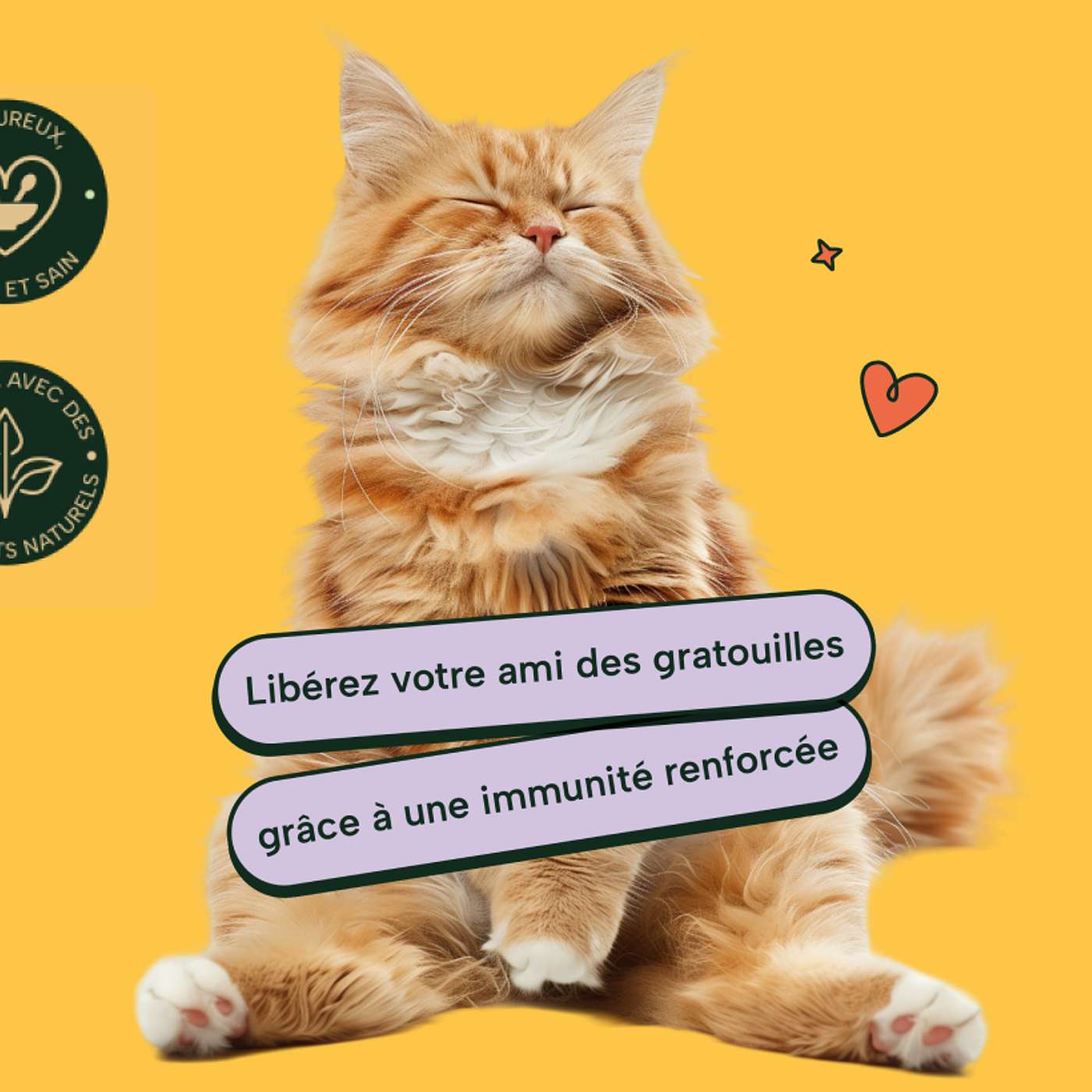 Vitamii Avis cover art