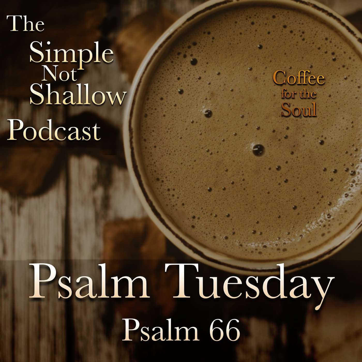 The Simple Not Shallow Podcast