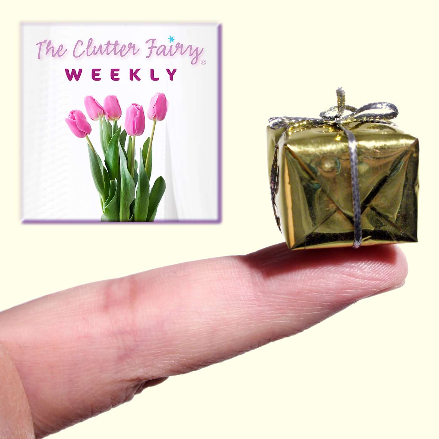 The Clutter Fairy Weekly #1 - Clutter-conscious Gift-giving | Virtual organizing | Holiday gap organizing strategies
