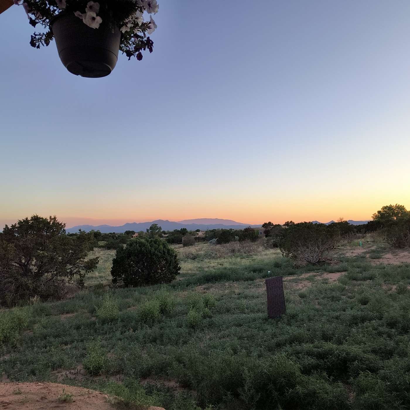 First Cup of Coffee – June 17, 2025