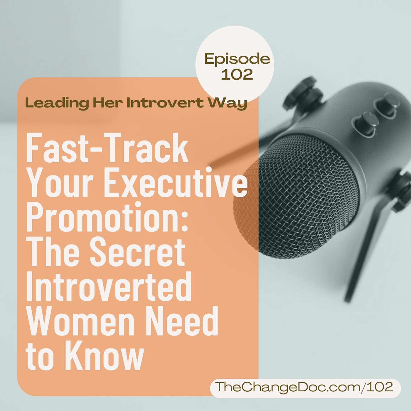102: Fast-Track Your Executive Promotion: The Secret Introverted Women Need to Know