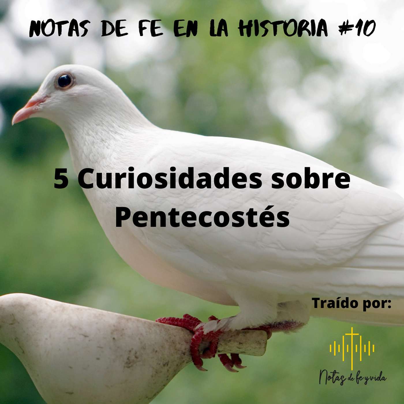 Notas de fe y vida