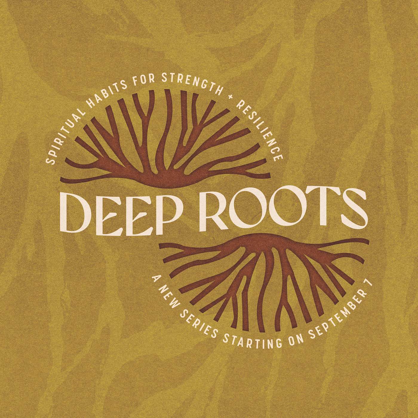Rooted in Solitude/Prayer - Deep Roots: Spiritual Habits for Strength + Resilience (Week 4)