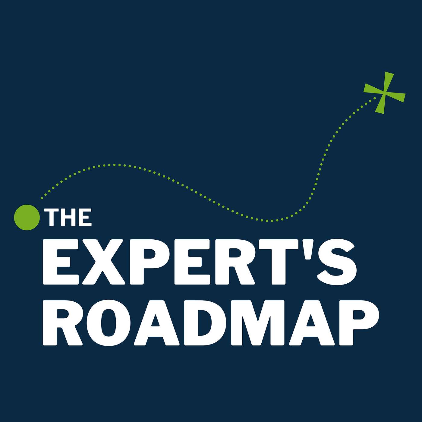 The Expert\'s Roadmap