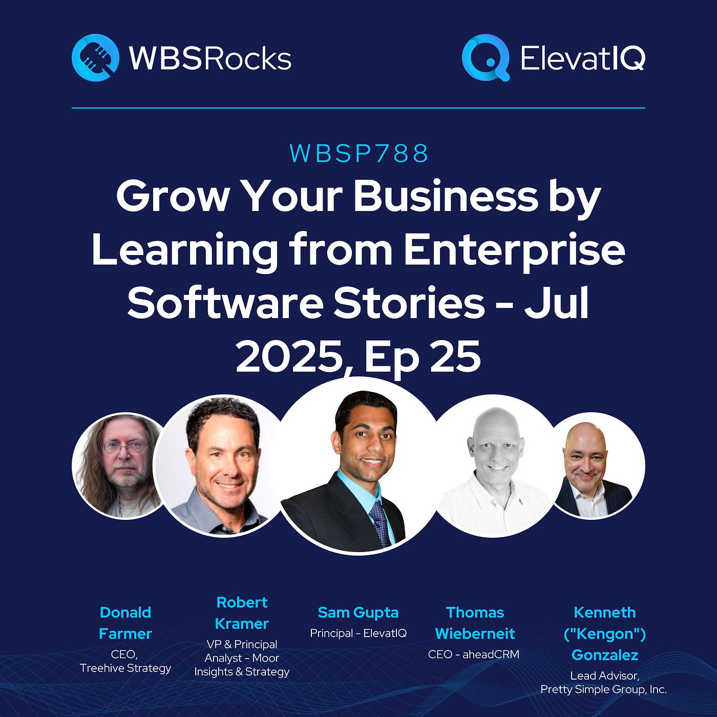 WBSP788: Grow Your Business by Learning from Enterprise Software Stories - Jul 2025, Ep 25, an Objective Panel Discussion WBSP788: Grow Your Business by Learning from Enterprise Software Stories - Jul 2025, Ep 25, an Objective Panel Discussion