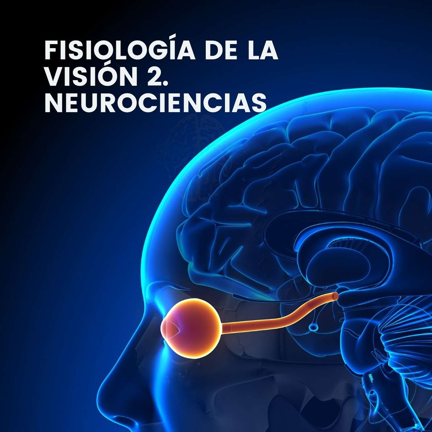 Sinapsis EMPodcast