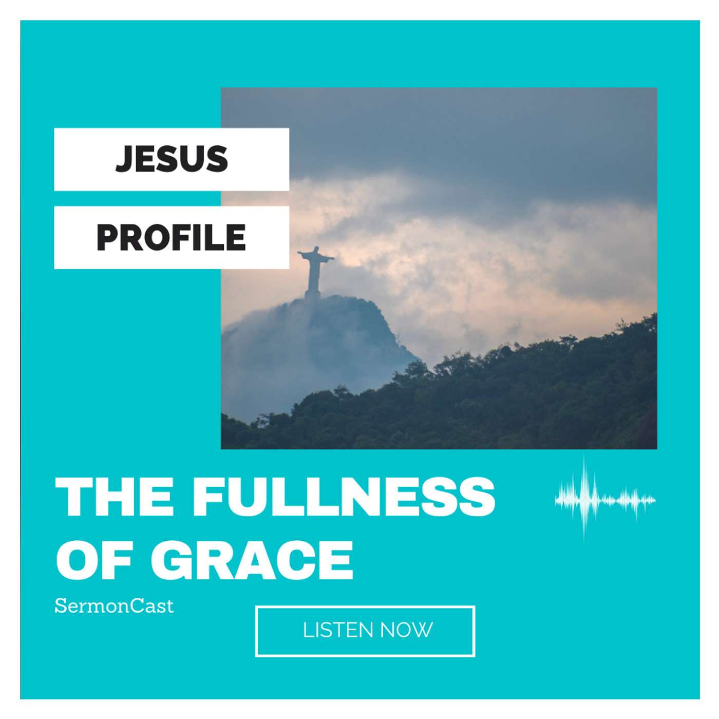 Jesus Profile - THE FULLNESS OF GRACE
