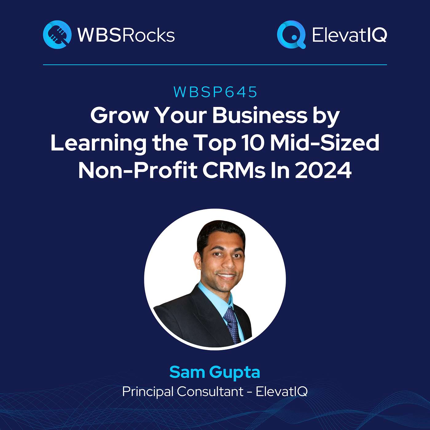 WBSP645: Grow Your Business by Learning the Top 10 Mid-Sized Non-Profit CRMs In 2024 w/ Sam Gupta