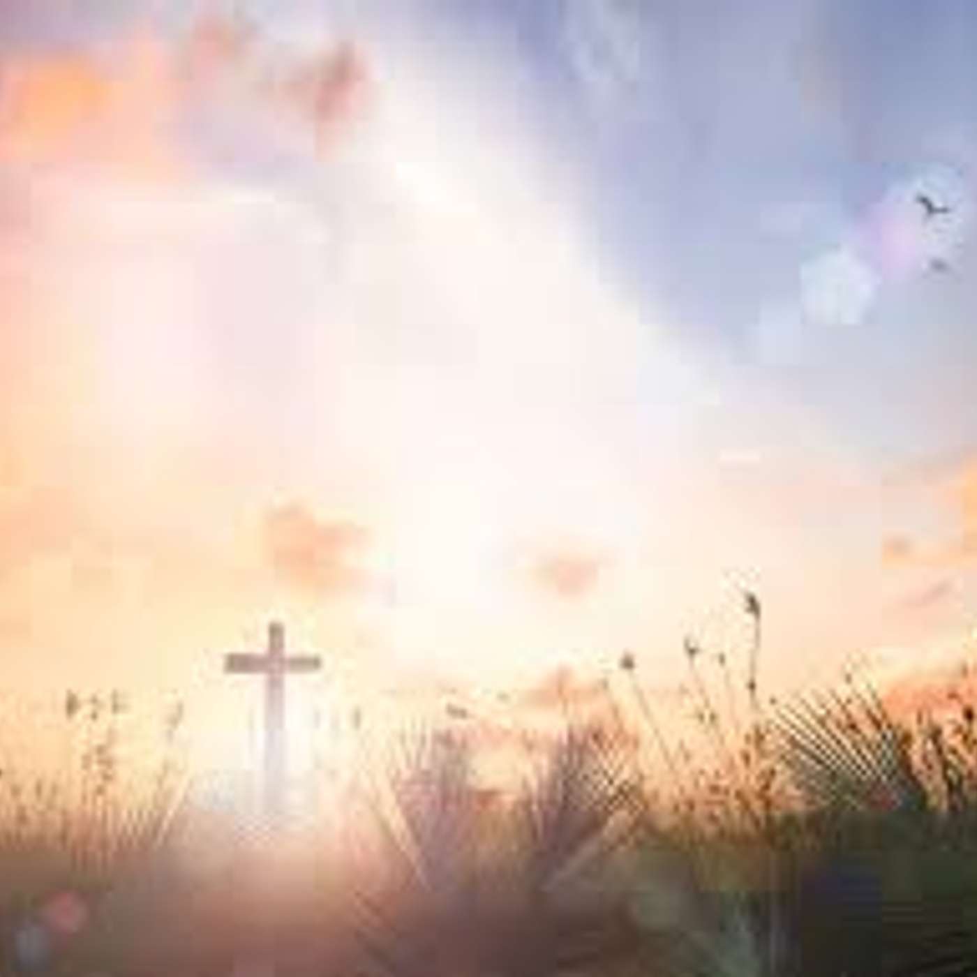 Morning Prayer for Tuesday, April 21, 2026 episode artwork