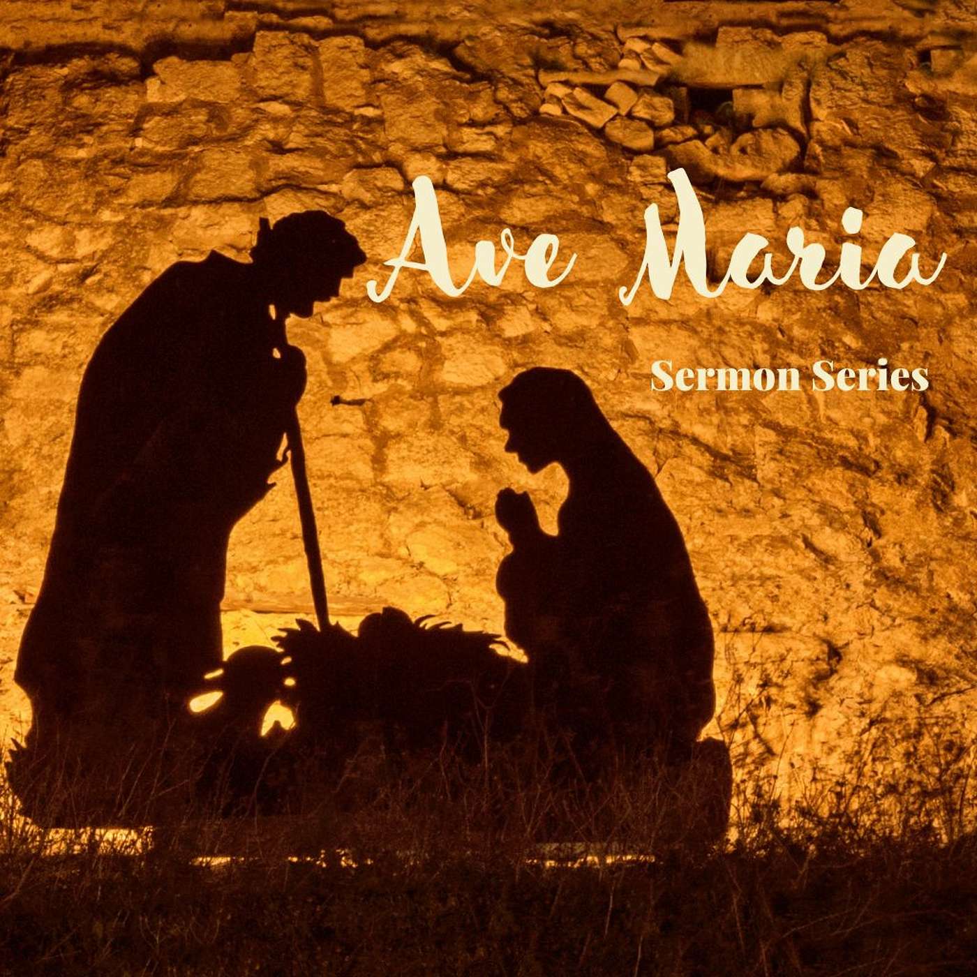 Seed of the Woman - Ave Maria Sermon Series Part 2 episode artwork