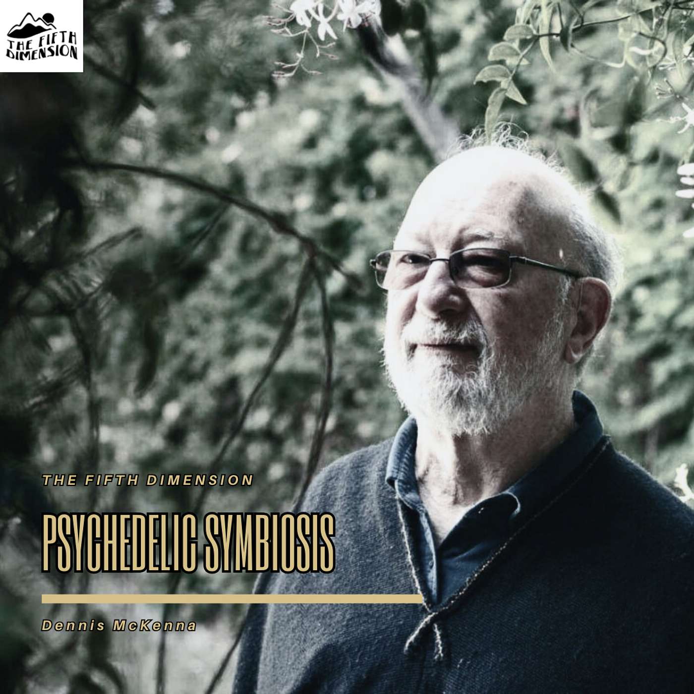 Dennis McKenna - Psychedelic Symbiosis
