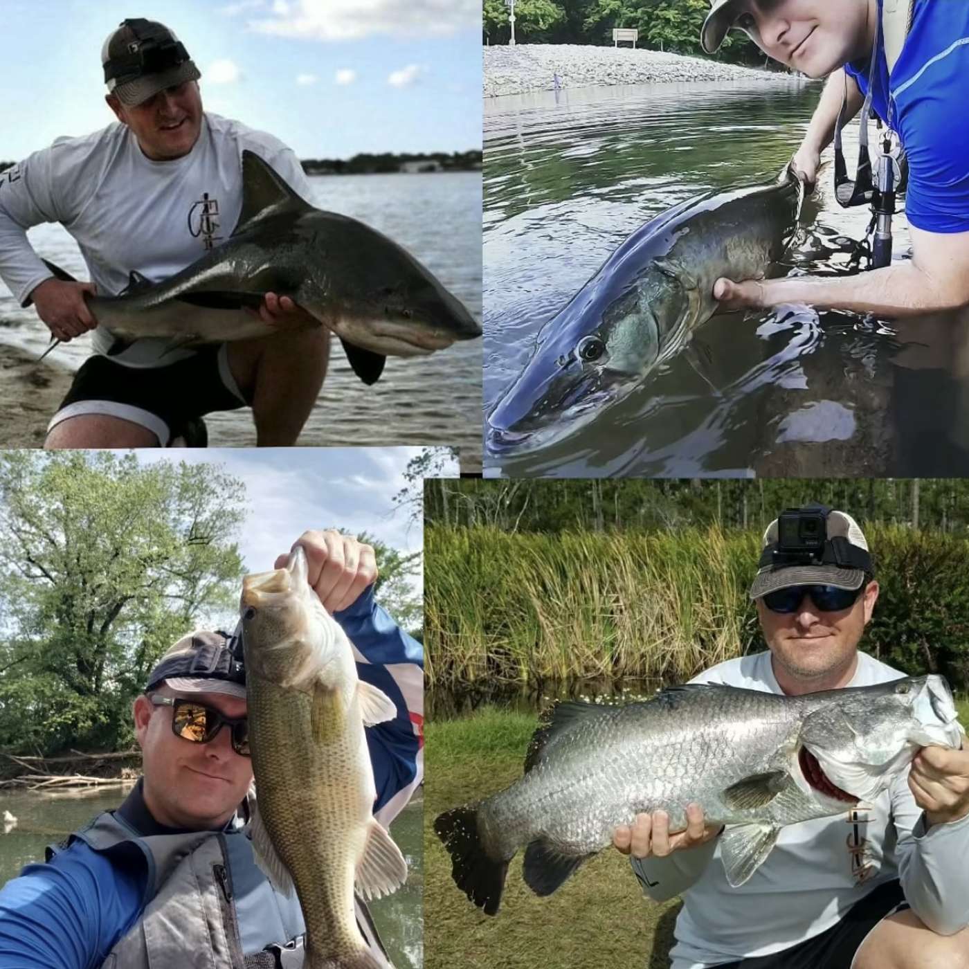 The Evolving Angler