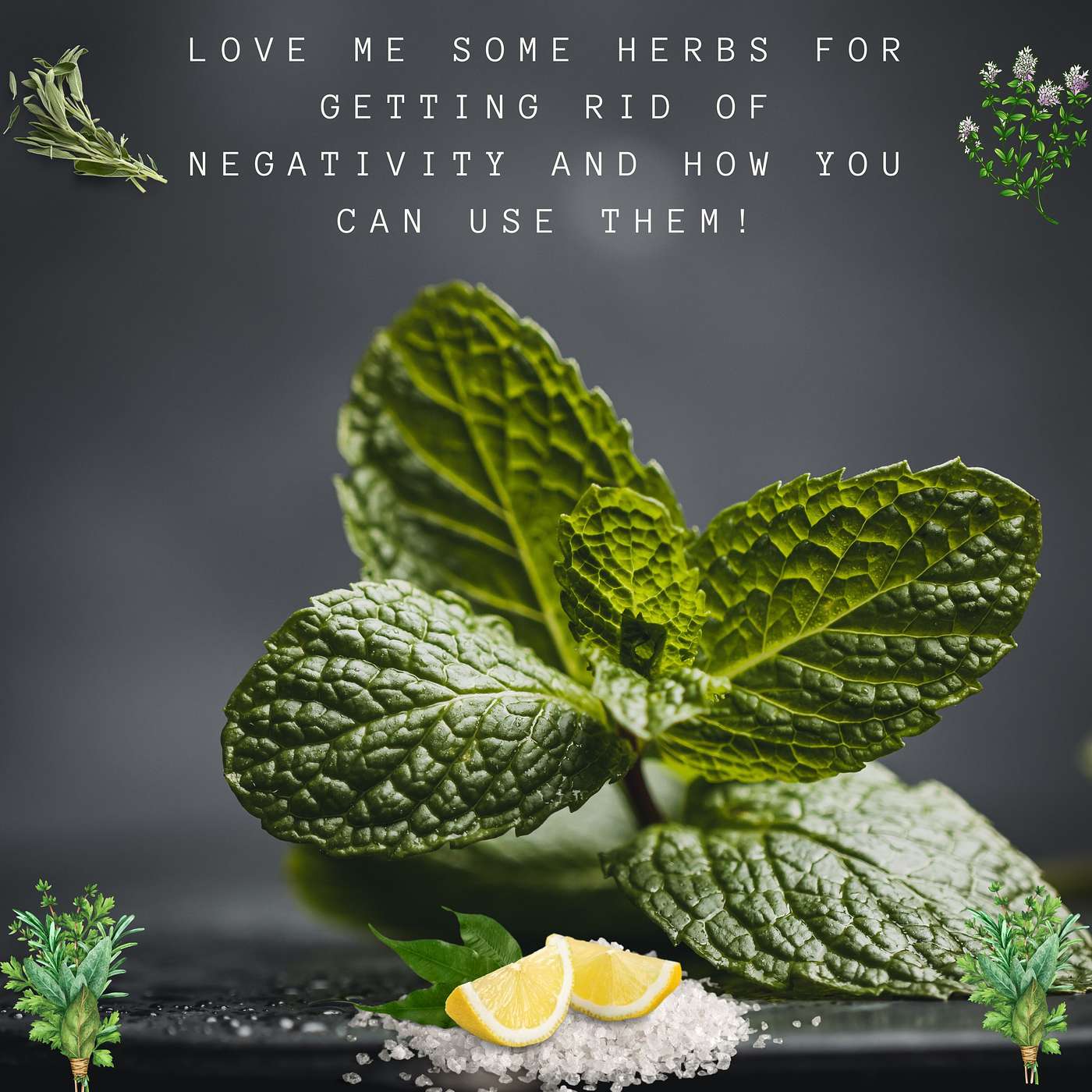 Love Me Some Herbs! What Herbs Can You Use to Banish Negativity! episode artwork
