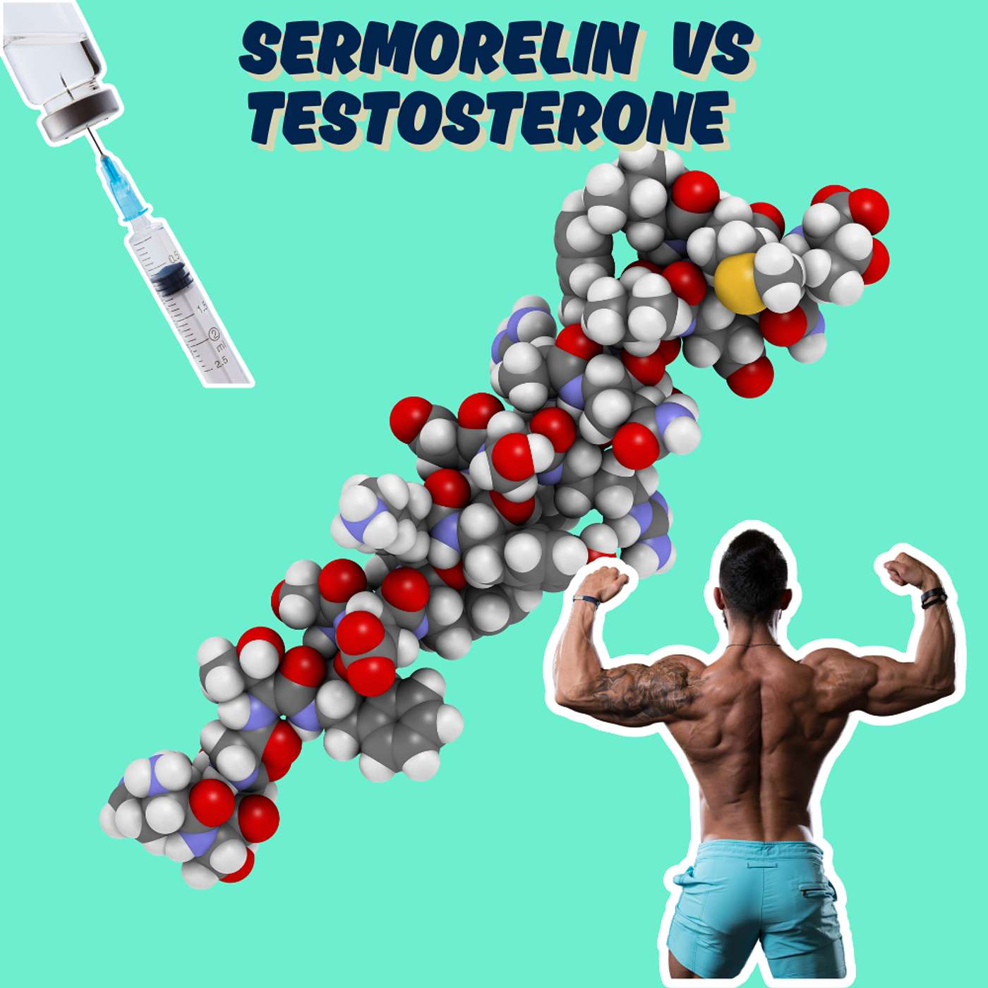 Sermorelin vs. Testosterone: Understanding the Critical Differences Sermorelin vs. Testosterone: Understanding the Critical Differences