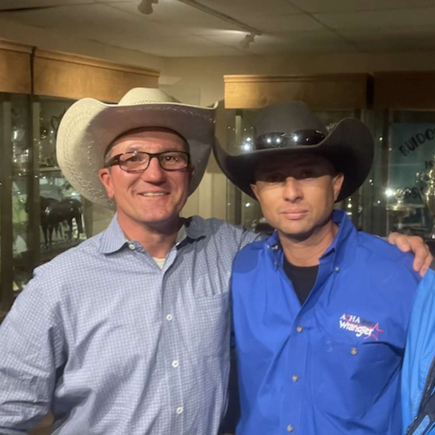 StallioneSearch Podcasts