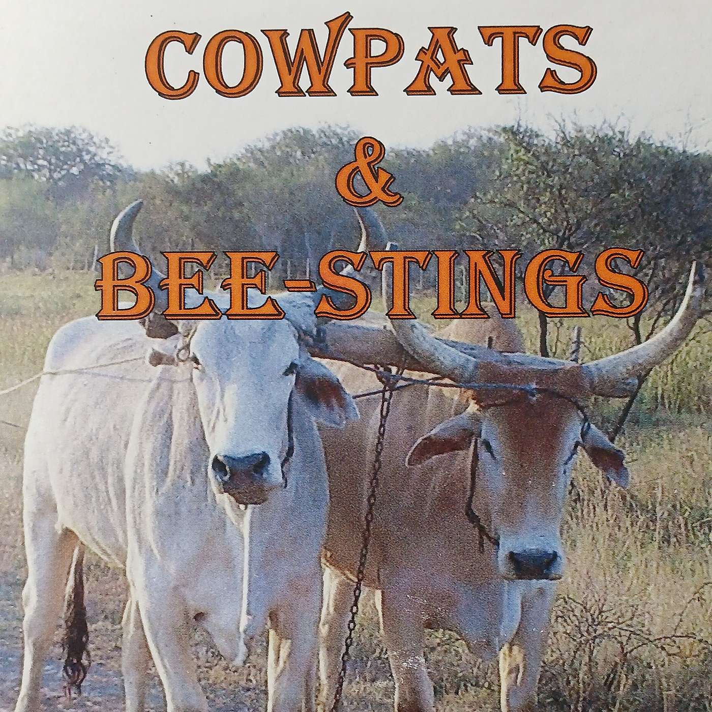 Vic Edwards, Cowpats & Bee Stings - 12, a bouncing baby & actions for disciple makers