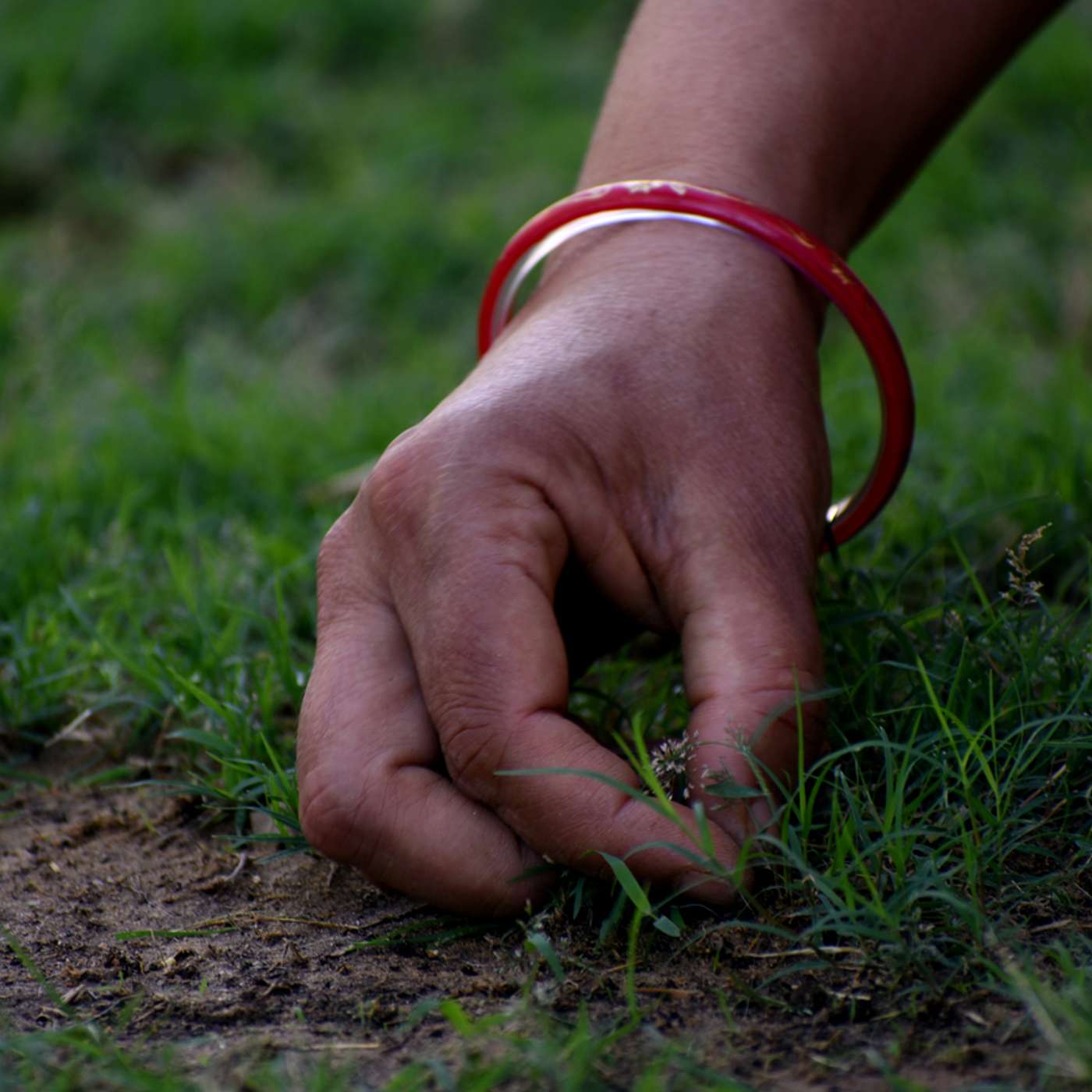 Sustainability in Action: Verdure Sciences’ Verdegration Initiative