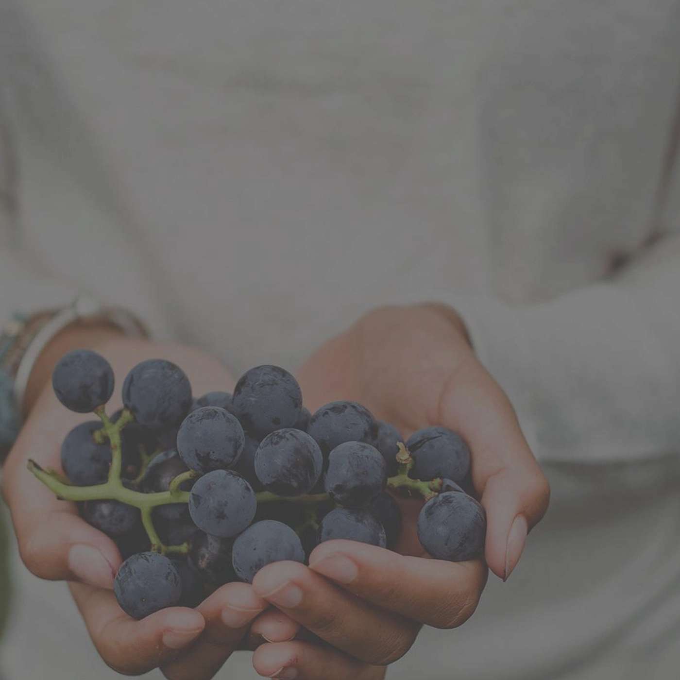 Organic Disciples: How Organic Outreach Transforms Us and the World