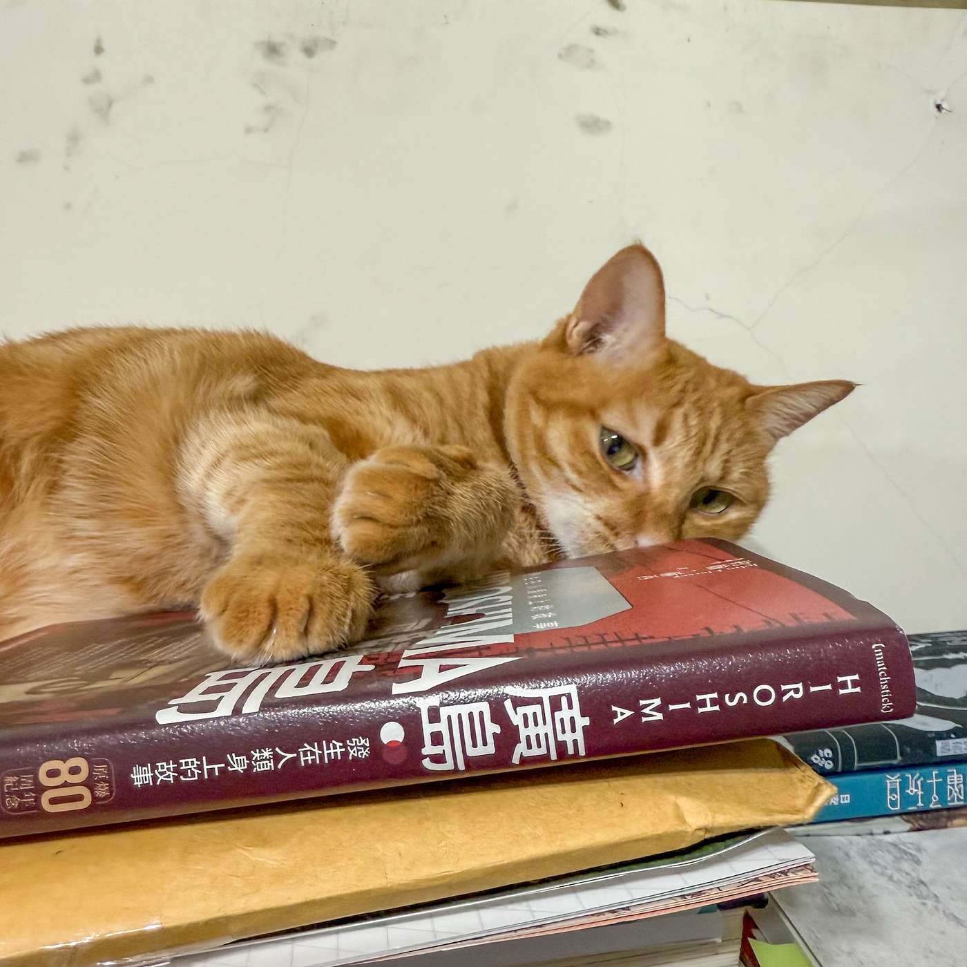 【書中自有黃金鮑EP107】讓世界免於核彈災難的並非嚇阻，而是對於廣島浩劫的記憶：《廣島》