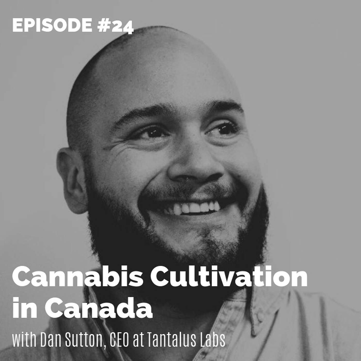 The Cannabis Conversation | Medical Cannabis | CBD | Hemp