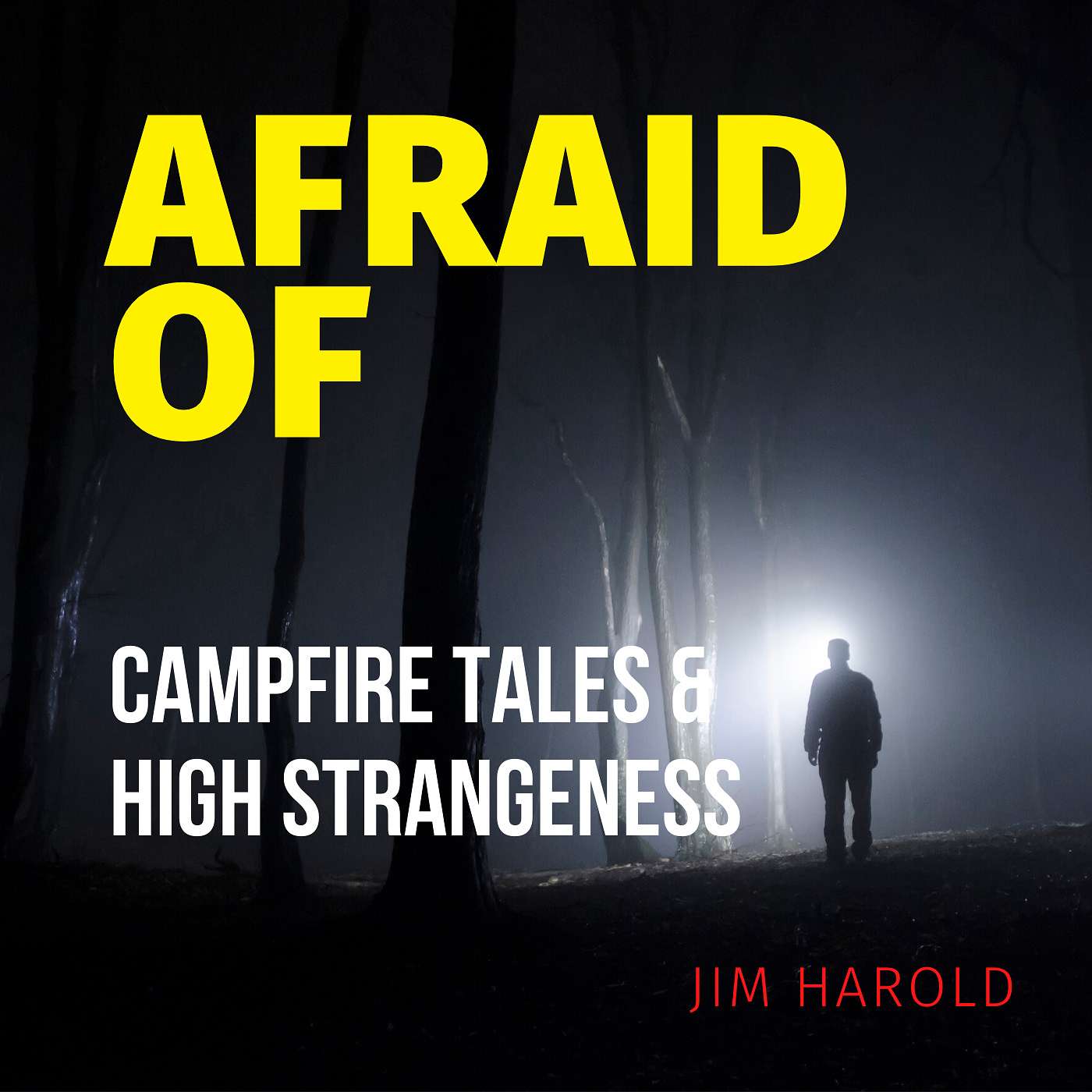 Afraid of Nothing Podcast