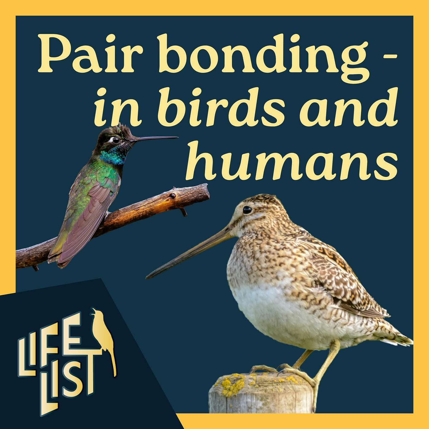An evolutionary biology perspective on pair bonding - in birds and humans - with Bryony Angell and Wenfei Tong