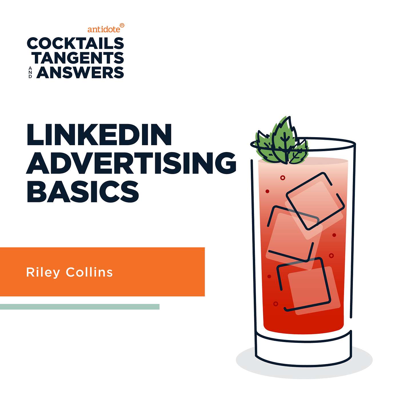 Riley Collins - The Basics of LinkedIn Advertising