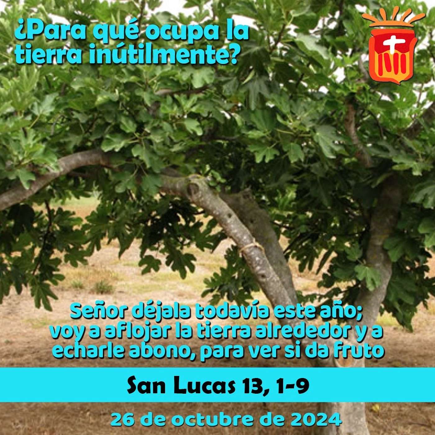 2024-10-26 San Lucas 13, 1-9: Sábado XXIX Ordinario