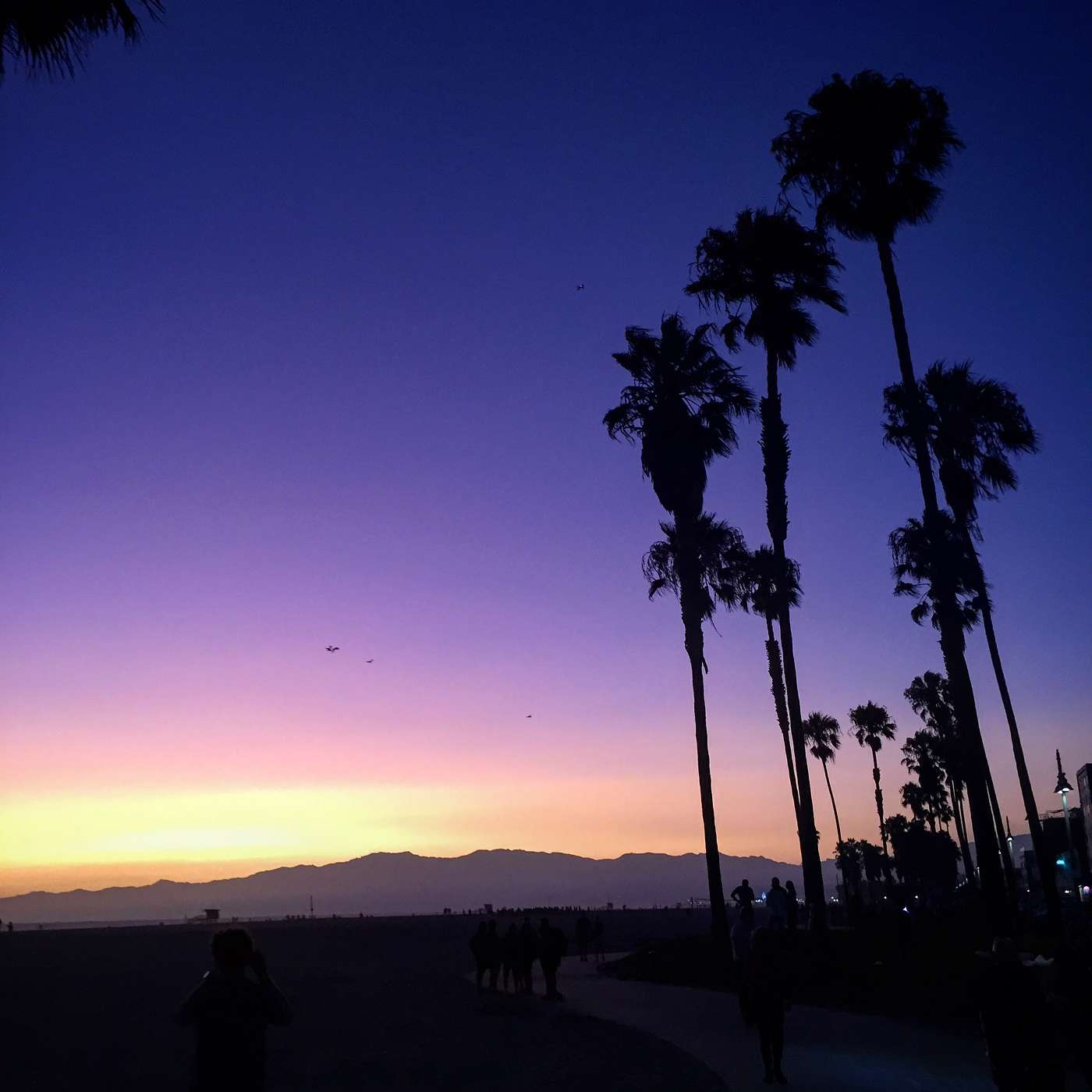 Sleep Stories Series, "Alice In Slumberland" Sleep Stories Series, "Alice In Slumberland"