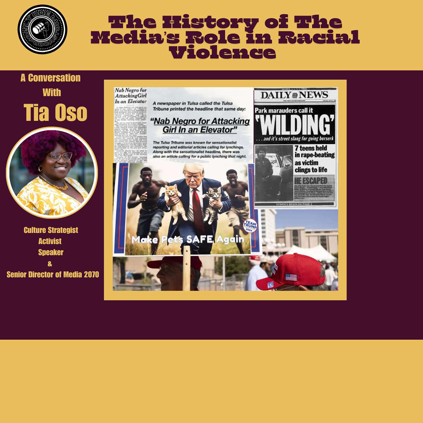 Unraveling The Media's Role in Racial Violence: A Conversation with Tia Oso episode artwork