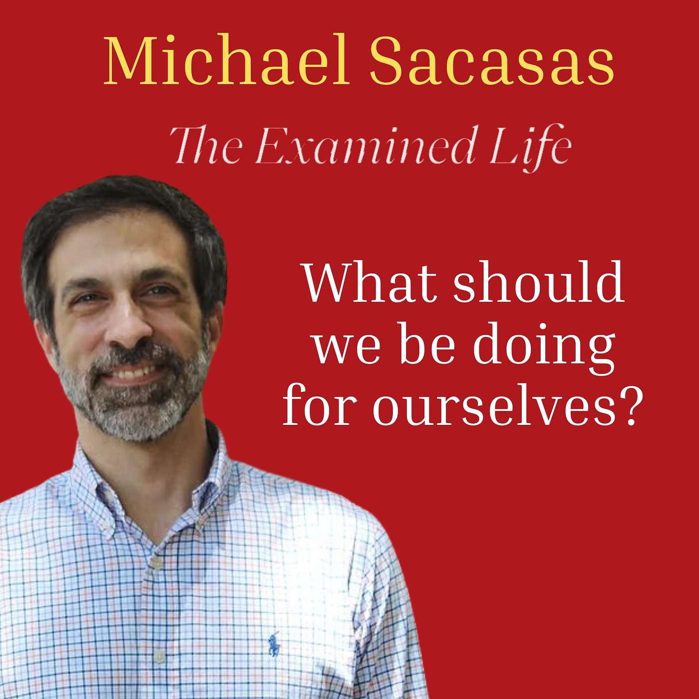 Michael Sacasas - what should we be doing for ourselves, even if a machine can do it for us?