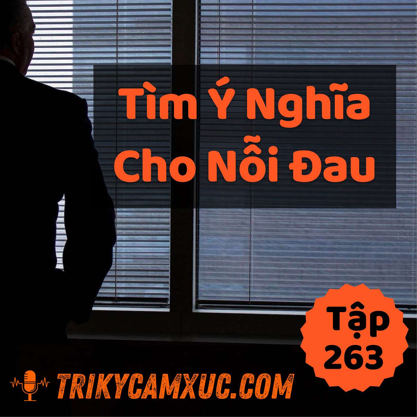Tìm Ý Nghĩa Cho Nỗi Đau - Tri kỷ cảm xúc #263