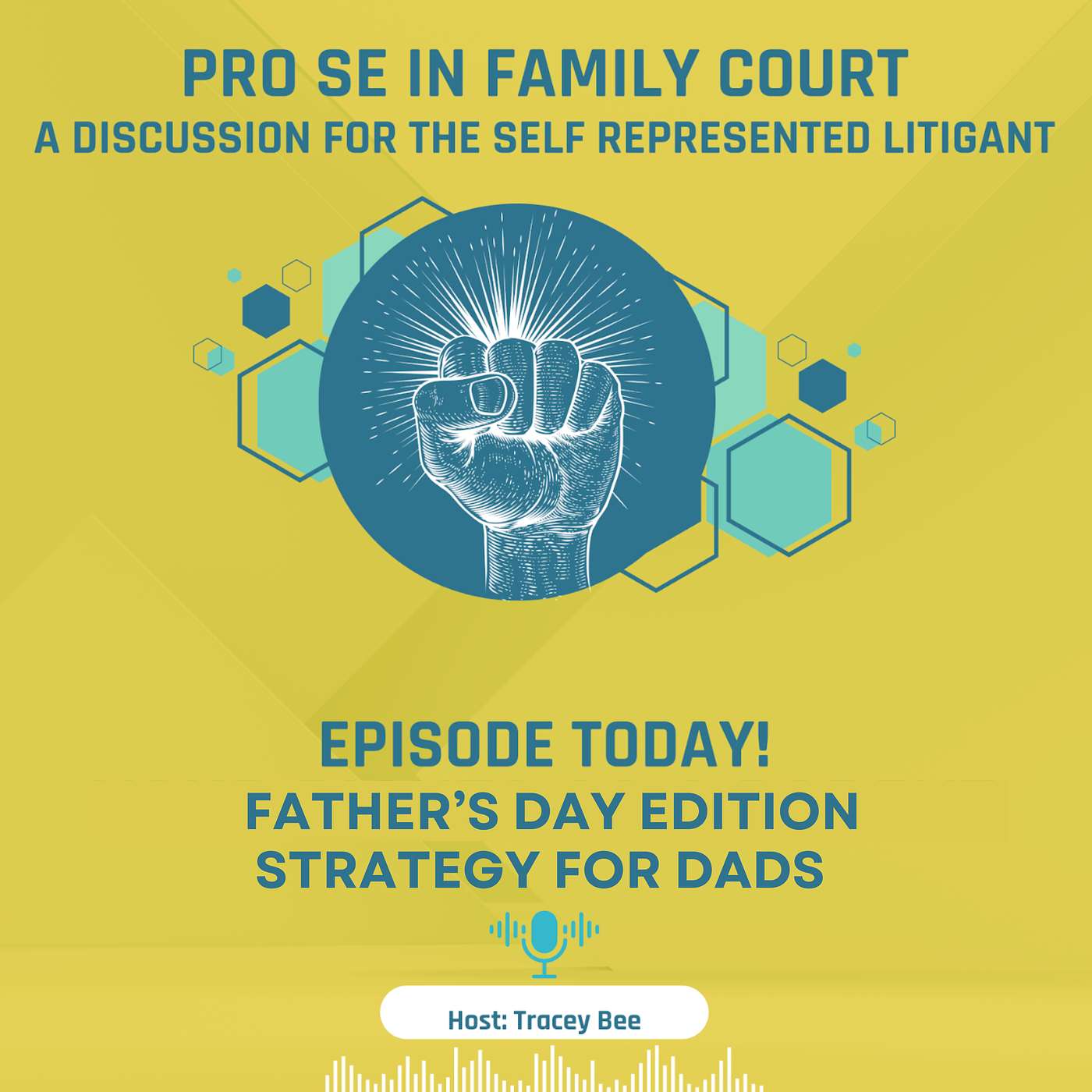 Family Court Strategy for Dads (Father's Day Edition) episode artwork