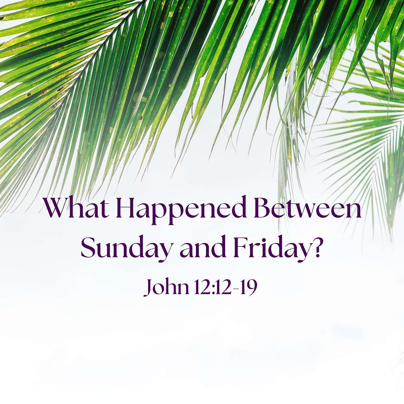 Alexandria Presbyterian Church Sermons