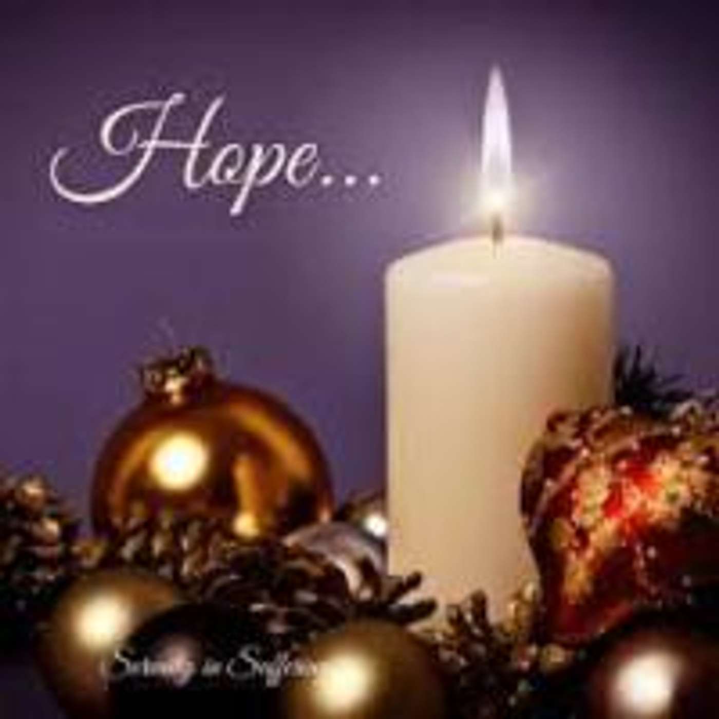 Homily for the First Sunday of Advent - The Eye of the Storm