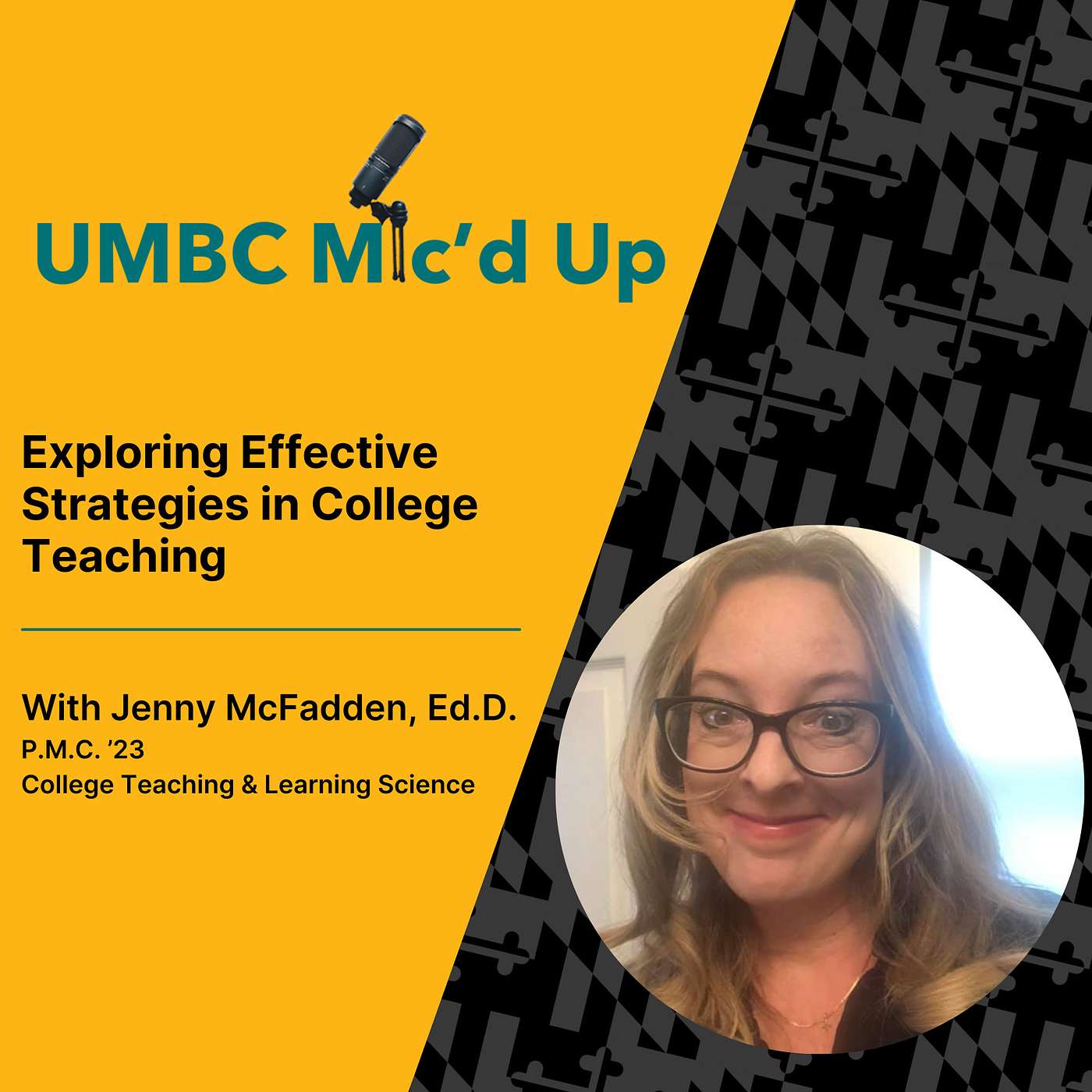 Exploring Effective Strategies in College Teaching episode artwork